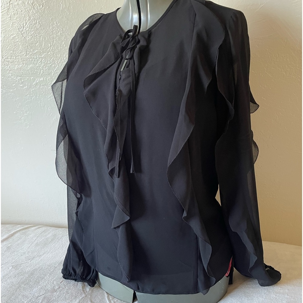 White House Black Market transparent long sleeve blouse.